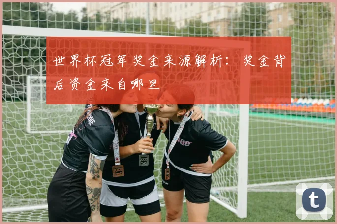 世界杯冠军奖金来源解析：奖金背后资金来自哪里