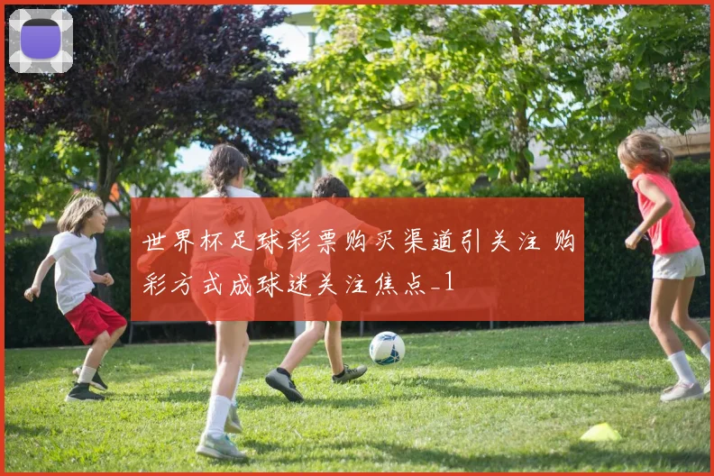 世界杯足球彩票购买渠道引关注 购彩方式成球迷关注焦点_1