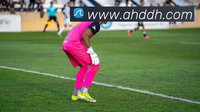 买球官方平台生态图