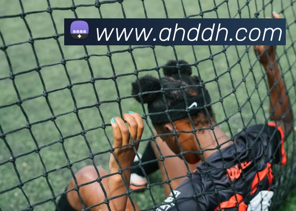 数据防护可视化